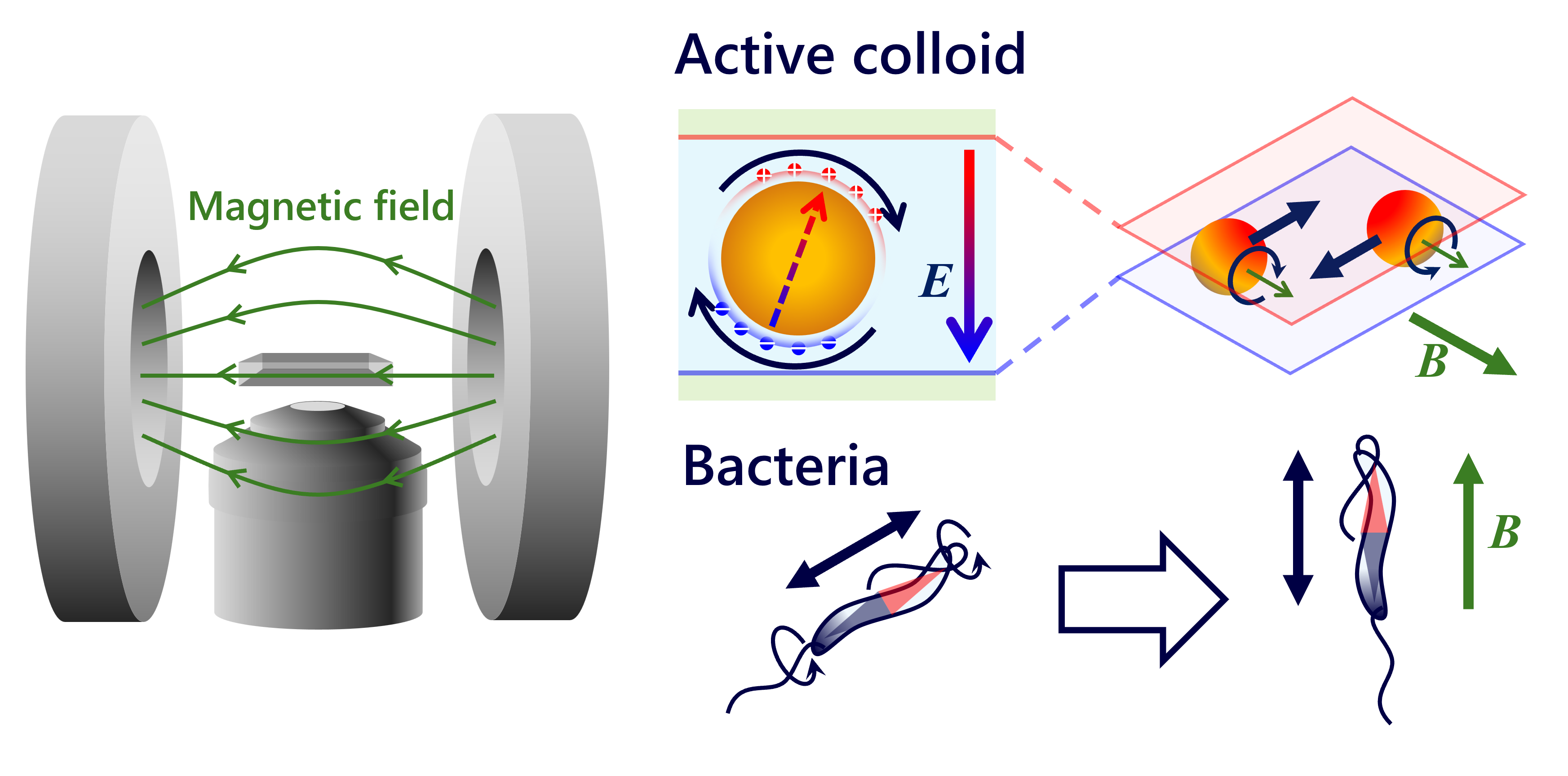 Research image